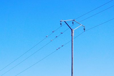Low angle view of cables with birds on against clear blue sky