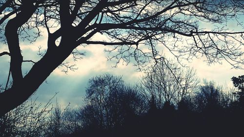 Silhouette of bare trees against sky