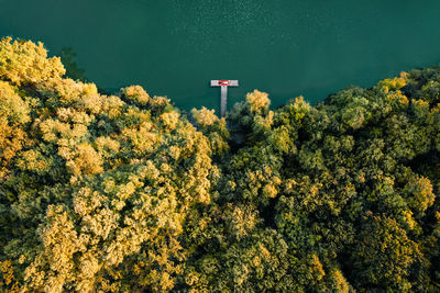 Aerial view of person relaxing on pier by lake and forest