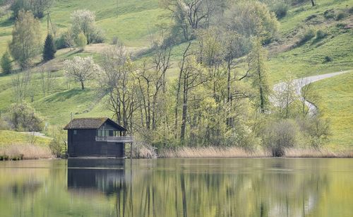 Scenic view of lake in forest