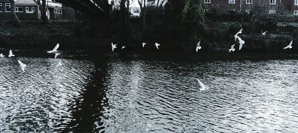 Man in water against sky