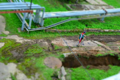 Rear view of young woman