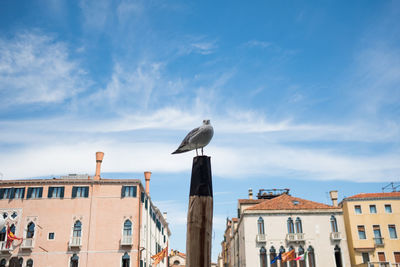 Birds perching on building against sky