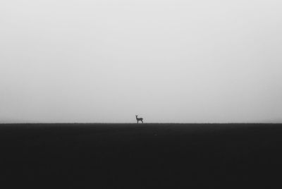 Silhouette of field against clear sky