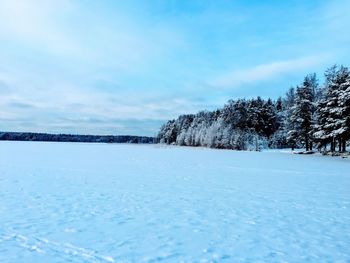 Scenic view of trees against sky during winter