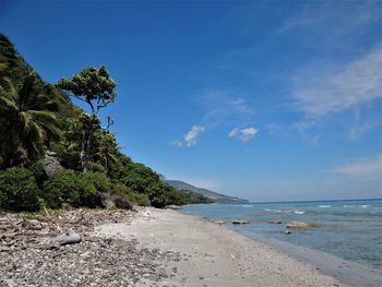 Scenic view of beach against blue sky