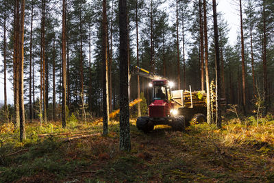 Forest machine working in forest