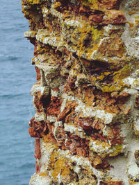 Close-up of rock on sea shore