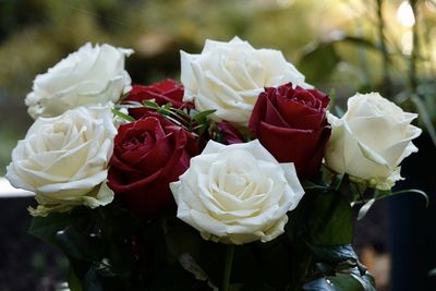 Close-up of rose bouquet