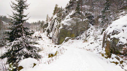 Snow covered road amidst trees and mountains during winter