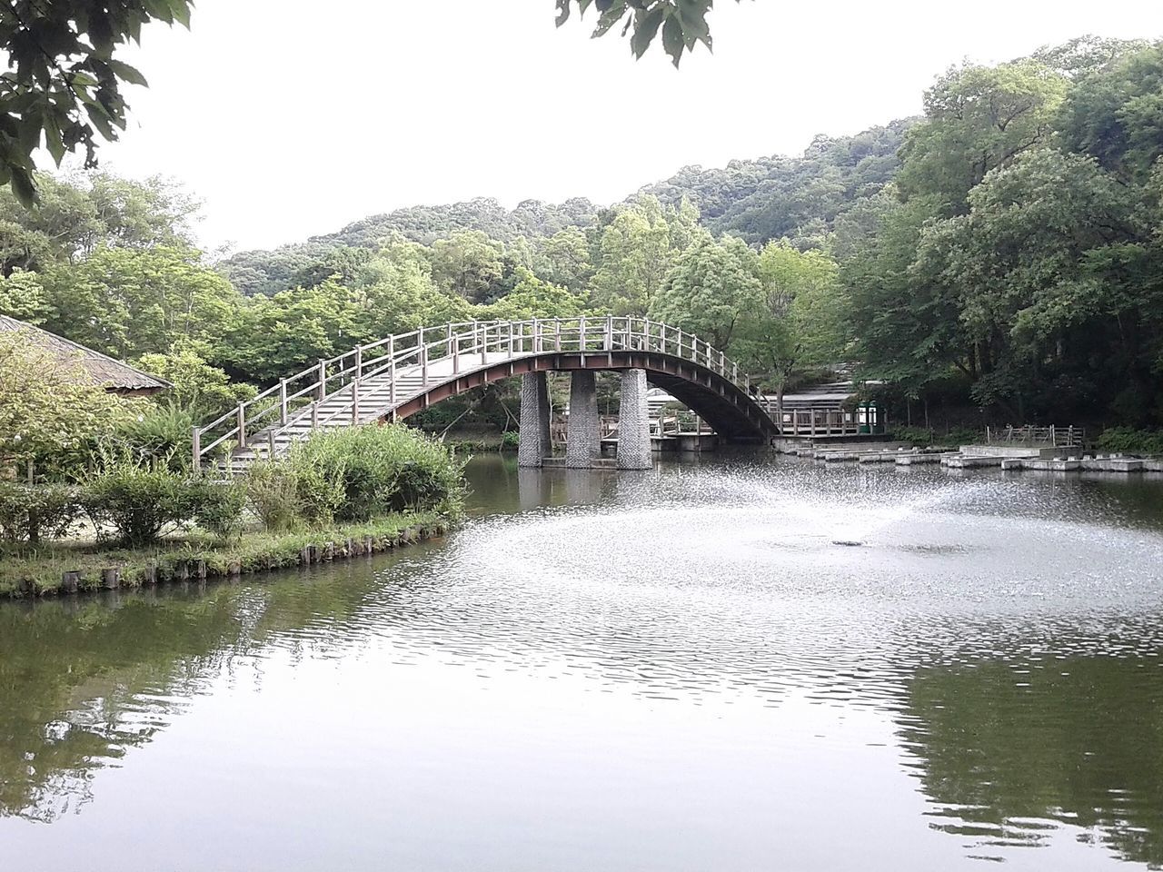 water, tree, waterfront, reflection, connection, river, built structure, clear sky, architecture, bridge - man made structure, tranquility, lake, tranquil scene, nature, bridge, mountain, scenics, beauty in nature, day, arch bridge