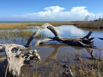 Scenic view of lake against sky