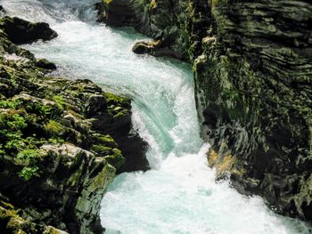 Scenic view of waterfall in forest