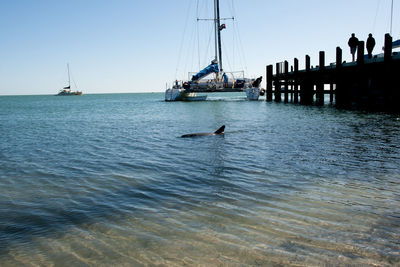 View of sailboats in sea