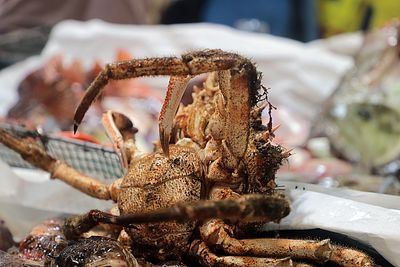 Close-up of crab for sale at market