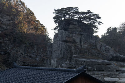 architecture