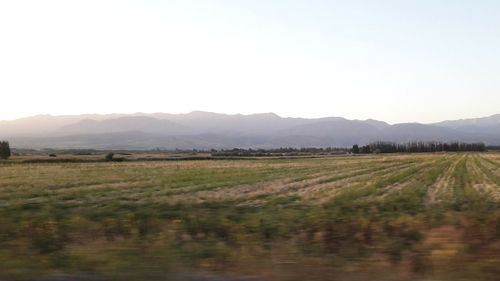 Scenic view of field against clear sky