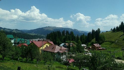 Panoramic view of houses and trees in vatra dornei, romania