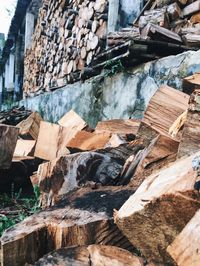 Stack of logs in a building