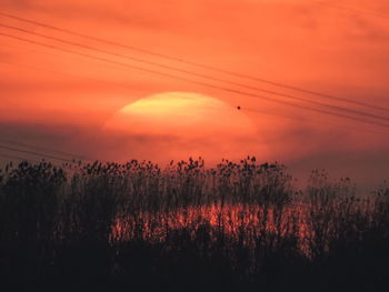 Scenic view of silhouette trees on field against romantic sky at sunset