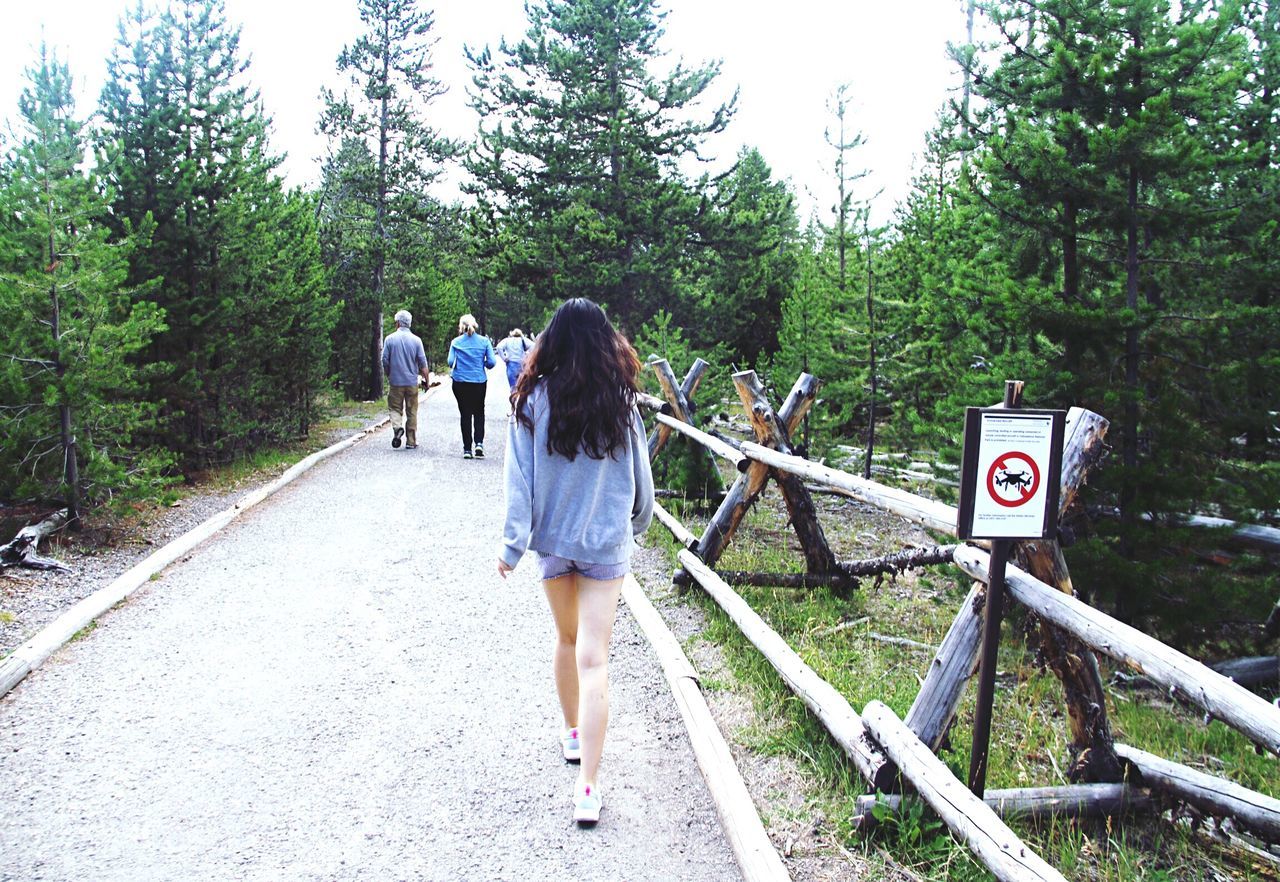 tree, full length, rear view, walking, casual clothing, leisure activity, girls, forest, lifestyles, togetherness, day, friendship, person, carrying, vacations, outdoors, growth, green color, diminishing perspective, nature, tranquil scene, footpath