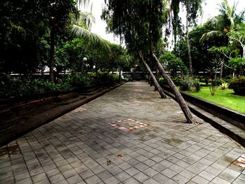 Footpath in park