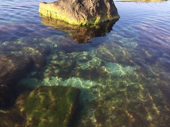 High angle view of rocks in sea