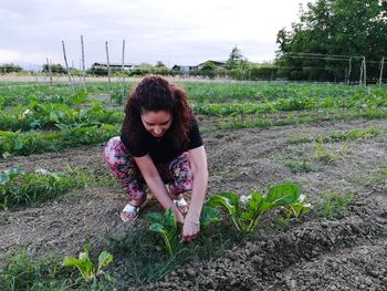 Smiling woman harvesting vegetables on farm