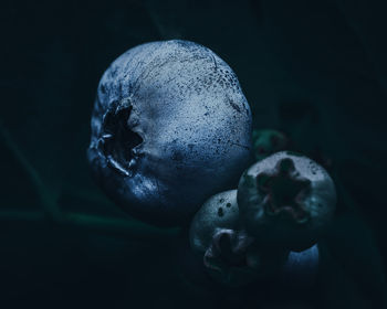 Close-up of apple against black background