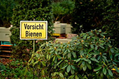 Information sign by plants