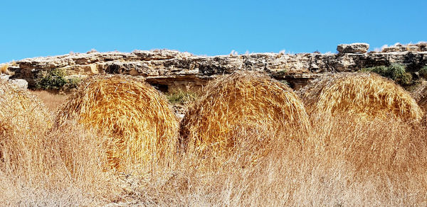 Stack of hay bales on field against clear sky