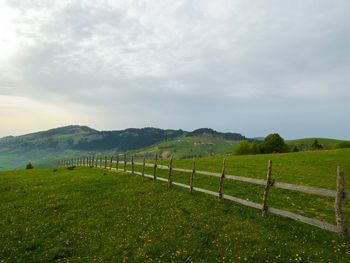 Scenic view of landscape against sky