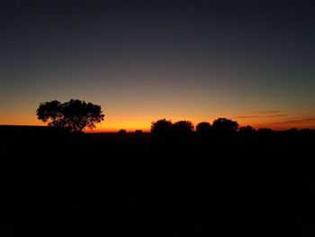 Silhouette trees against clear sky during sunset