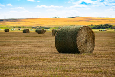 Hay bales on field against sky