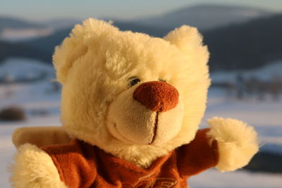 Close-up of stuffed toy