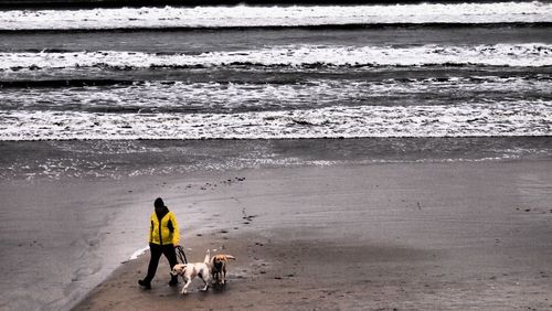 Couple walking on beach