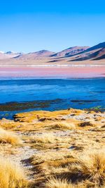 Scenic view of lake against blue sky