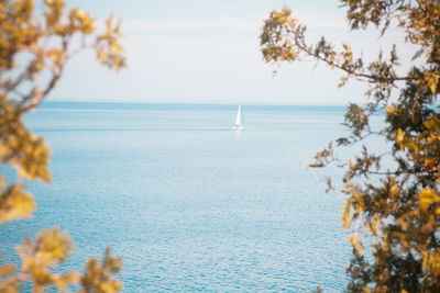 Scenic view of sea with trees in background