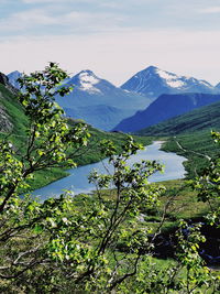 Scenic view of tree mountains against sky