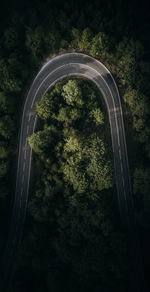 High angle view of road in forest