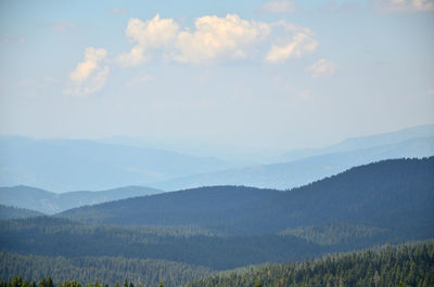 Idyllic landscape of the mountain kopaonik, in serbia, in summer