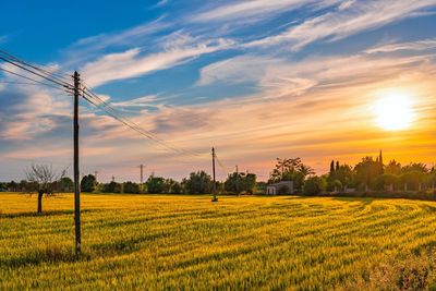 Scenic view of agricultural field against sky during sunset