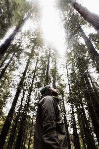 From below side view traveling male walking along path with huge tree trunks on ground in woods