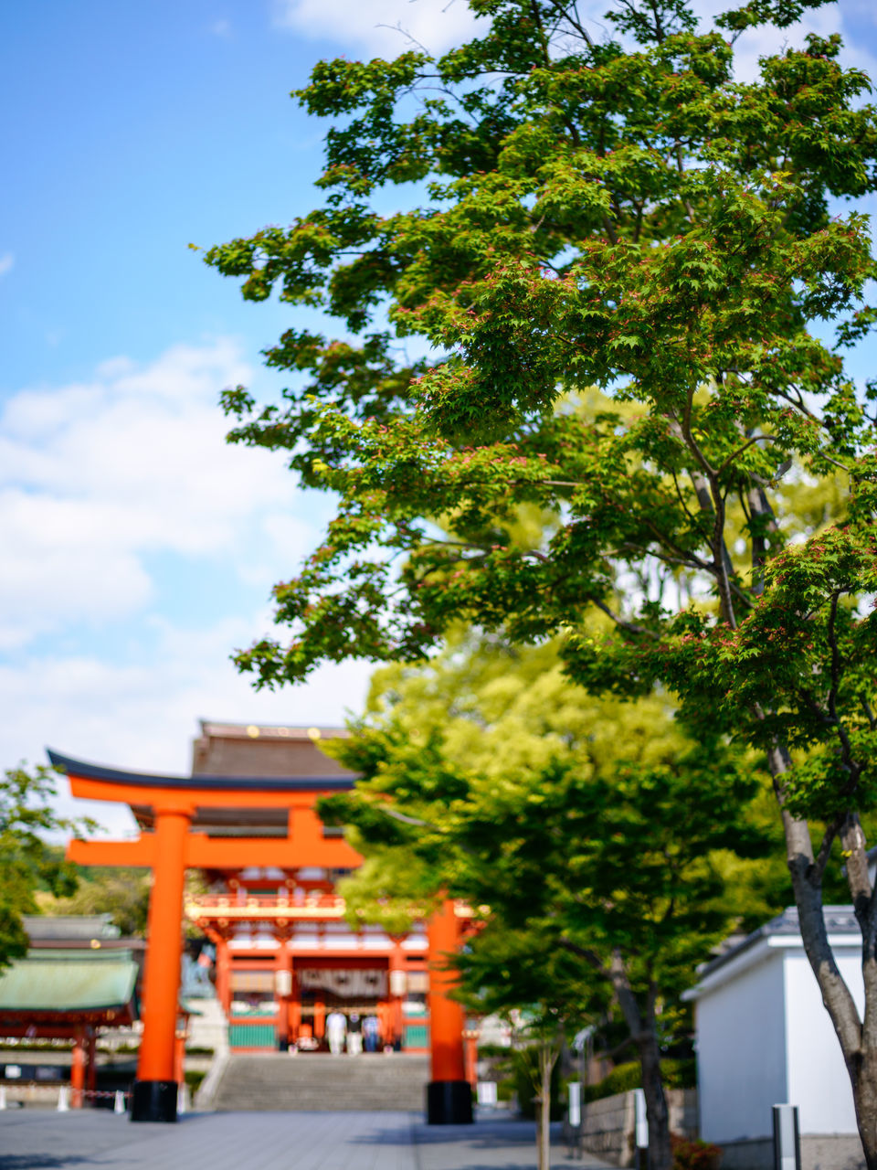 architecture, built structure, plant, tree, belief, religion, place of worship, sky, building, building exterior, nature, no people, day, spirituality, outdoors, travel destinations, orange color, city, travel, shrine