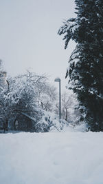 Snow covered land and trees against sky