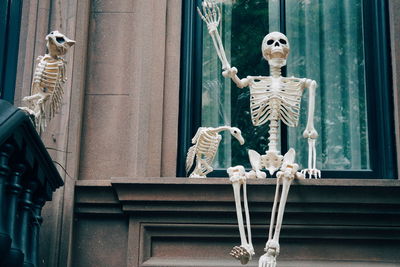 Skeleton of bird and human on window