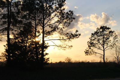 Silhouette trees in forest against sky