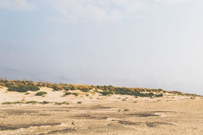 Scenic view of desert against sky