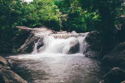 Scenic view of waterfall in forest