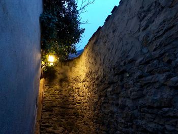 View of illuminated street amidst trees against wall